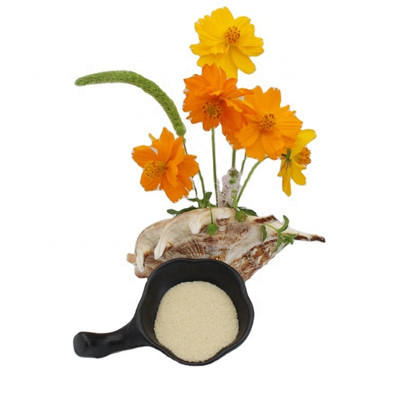 Halal Gelatin 2024 New Arrival Manufacturer Edible Gelatin 25kg/bag 120 240 250 Bloom food grade gelatin powder